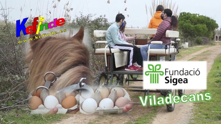 Actividades Familiares Imperdibles en Viladecans