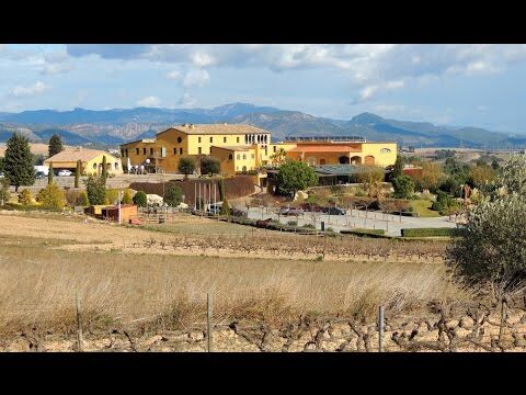 Escapadas Perfectas cerca de Castelldefels