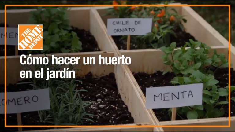 Tiendas de Productos Orgánicos en Cornellà de Llobregat