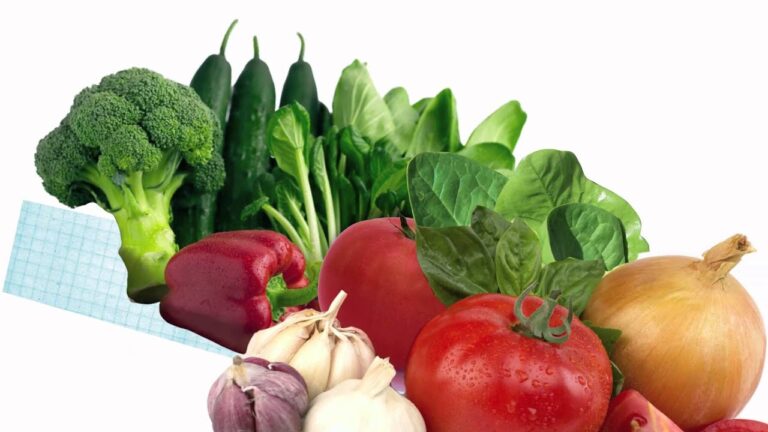 Mejores Opciones para Cursos de Nutrición Deportiva en Cornellà de Llobregat