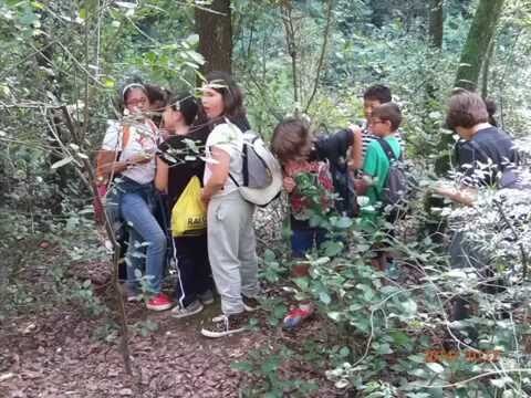 Gu&iacute;a de estaciones de esqu&iacute; cerca de Sant Just Desvern