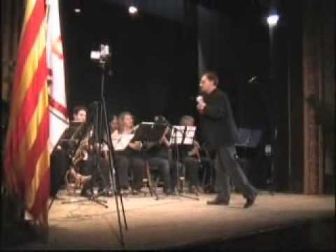 Guía para encontrar academias de violín en Viladecans